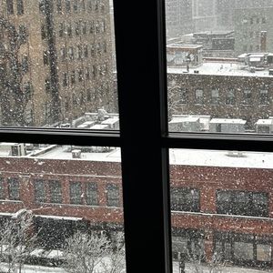 Meet your Posher, Shelley